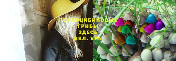 спайс Строитель