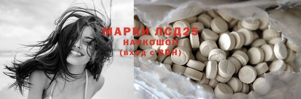 прущие грибы Струнино