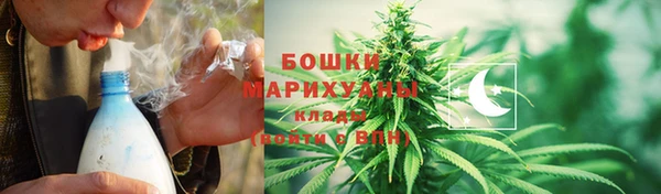 шишки Тайга