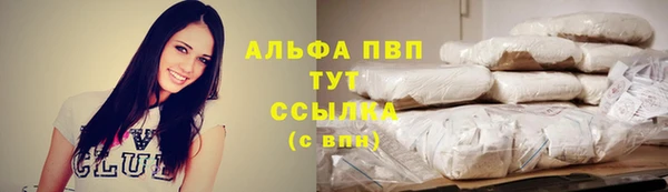 прущие грибы Струнино