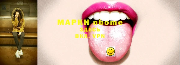 прущие грибы Струнино